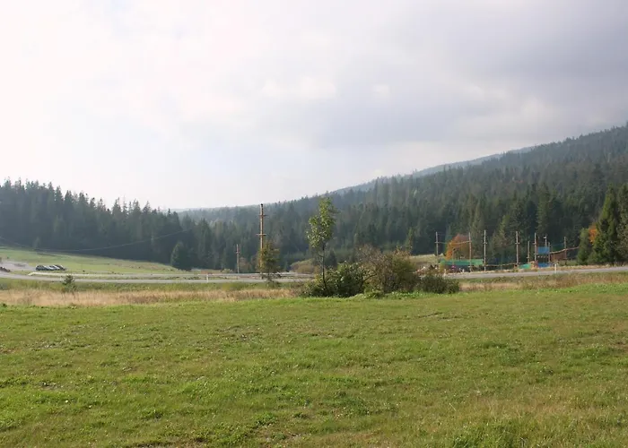 Gasthuis Orawski Dwor Zubrzyca Gorna